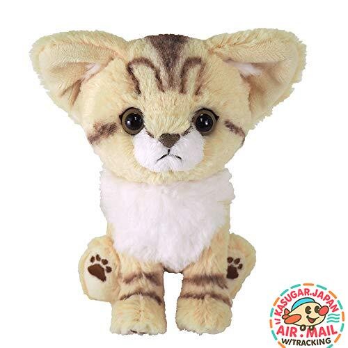 Sun lemon kitten sand cat - sun,