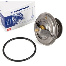 WAHLER Thermostat + Dichtung