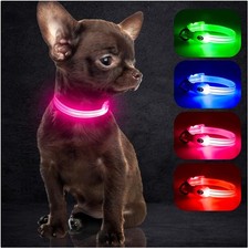 LED Hundehalsband Katze