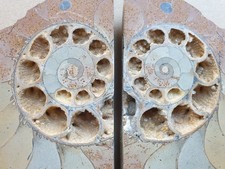 Wundervolle polierte