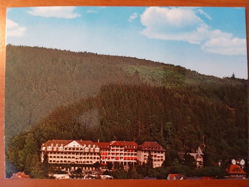 Postkarte 3134 nicht gelaufen