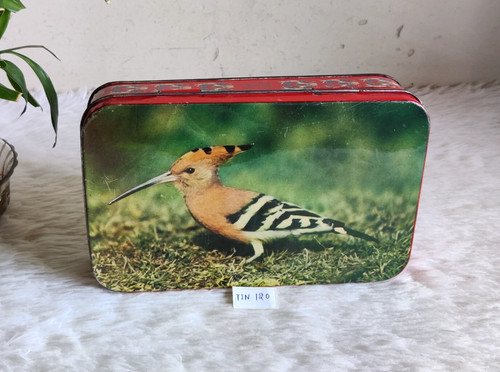 1950er vintage wiedehopf vogel - 1950er,