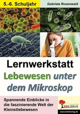 Lernwerkstatt Lebewesen unter