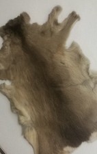 2 Rehfelle Gebraucht