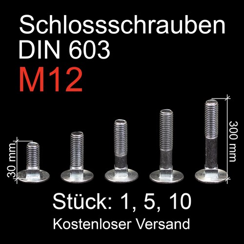 Schlossschrauben m12 verzinkt - schlossschrauben,