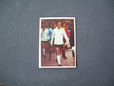 Bergmann WM 1978 78 Argentina