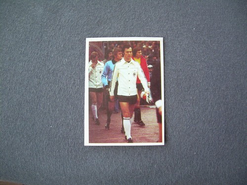 Bergmann 1978 argentina - bergmann,