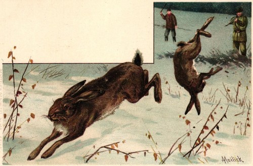 Jagd jäger hasen sign - jäger,, hasen,