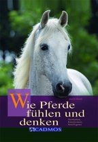 Wie pferde fühlen und - fühlen, denken