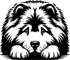 CHOW CHOW Aufkleber -