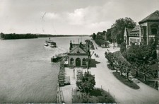 Ansichtskarte Eltville am Rhein Restaurant Cafe Rheinhalle (Nr.9282)