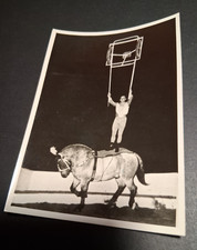 1961c DDR foto 15x11 ZIRKUS BUSCH Fabiunke Jockey Reiter circus cirque circo