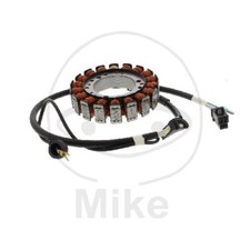 Lichtmaschine Anker Stator
