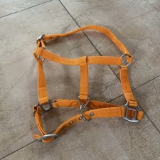 Fohlenhalfter /Shettyhalfter/Spielpferdehalfter