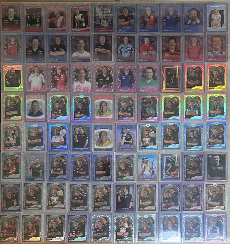 Pdc panini darts - pdc,