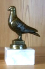 1 Brieftaube Taube Figur aus