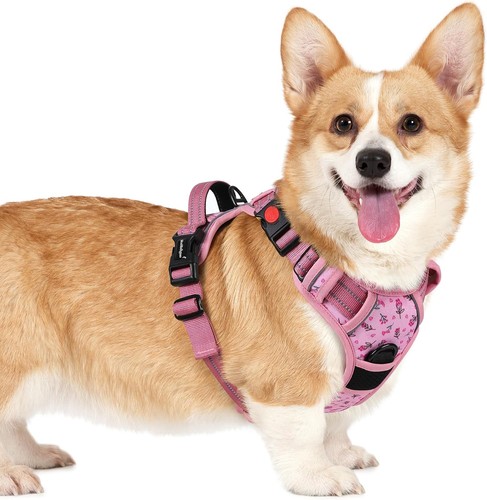Hundegeschirr für kleine - s,