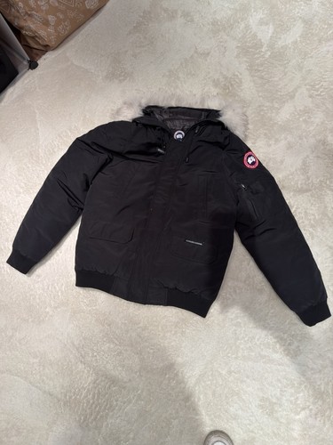 Canada goose chilliwack - goose,