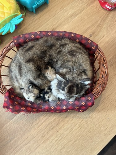 Künstliche katze mit babys - katze,