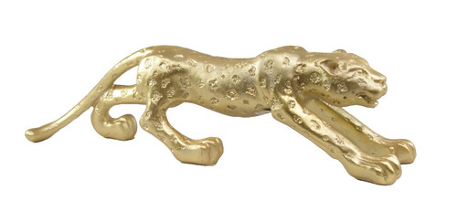 Leopard katze gepard - leopard,