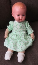 Süßes altes Schildkrötbaby!