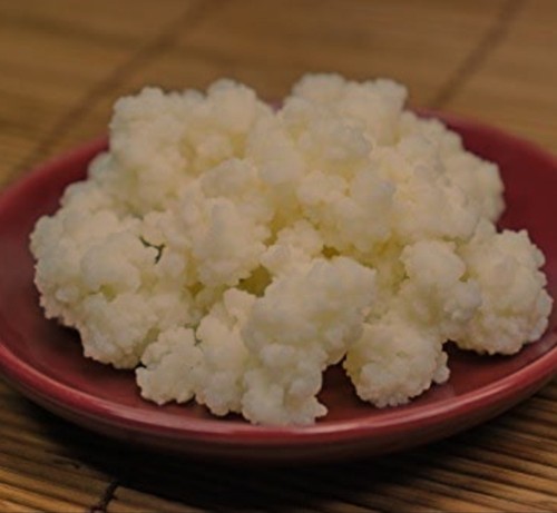 Milchkefir,Tibetanischer
