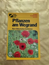 Pflanzen am Wegrand - Nach