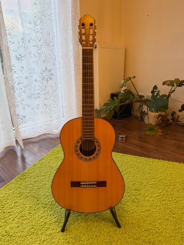 Akustik gitarre von musima - akustik-gitarre,