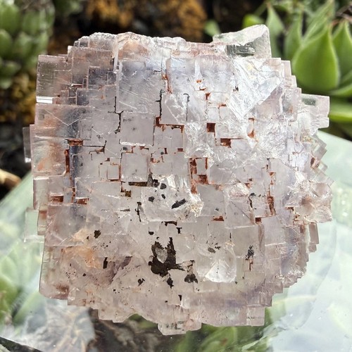 Fluorite grube clara - fluorite,, clara,