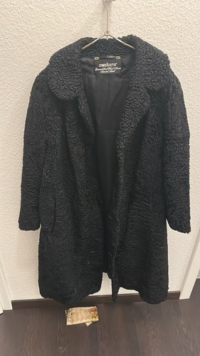 Echter persianer schwarz - persianer,