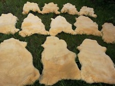 Top Echte Med. Schaffelle