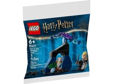 LEGO® Harry Potter 30677