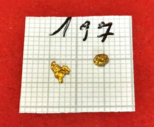 #197 2x Goldnugget Alaska