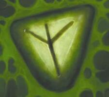 Pirates of the Frozen North -