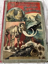 Naturgeschichte Geologie Und