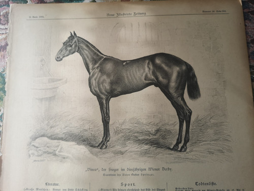 1884 zeitungsdruck 583 - rk,