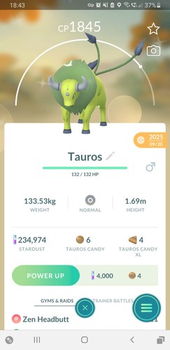 Shiny tauros - 🐂shiny, (schillernd)