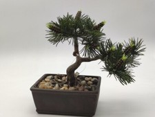 Kunstbaum Bonsai im Topf 25cm täuschend echte Topfpflanze