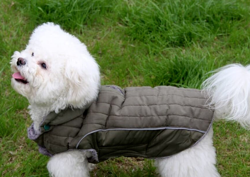 Hundemantel hoodie - ❤️,