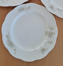 Rosenthal classic rose - classic,