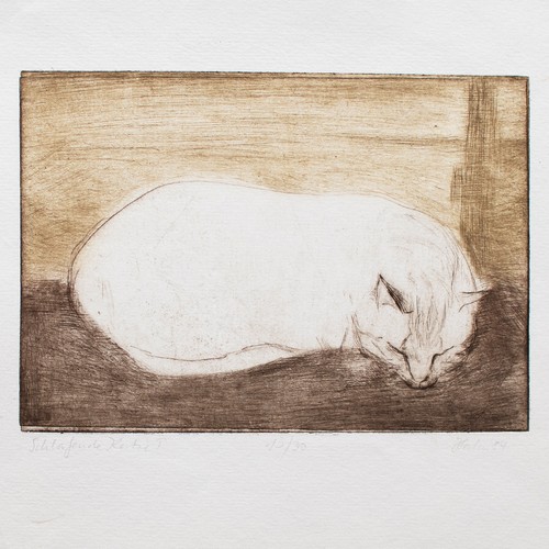 Mafred hahn katze - mafred,