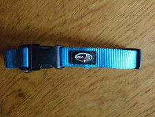 Hundehalsband , Halsband ,Sichern ,  Anleinen , hellblau , Sicherheit ,neuwertig