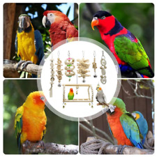 7x Haustier Vogel Papagei