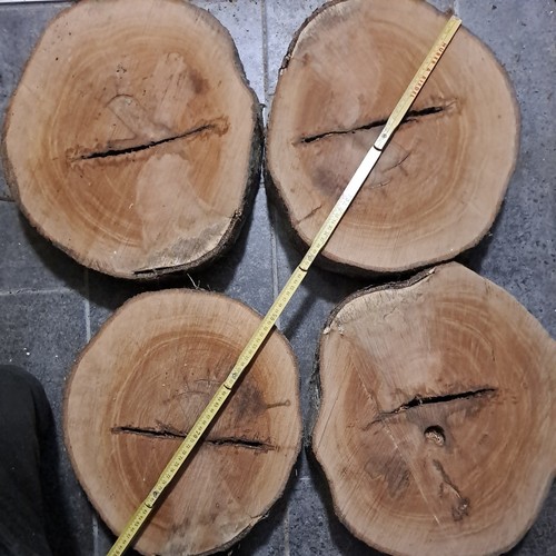 Holzscheibe buche tolle optik - holzscheibe,