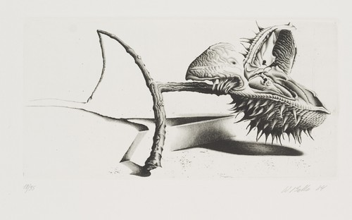 Bulla - w., (*1953)