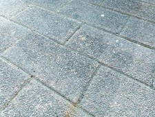 Bis zu 20qm Terrassenpflaster / Betonsteine zu verschenken TOP