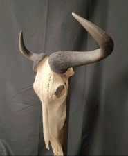 Original Gnu Wildebeest