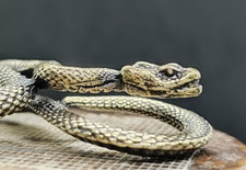 Antike Schlange Bronzeskulptur