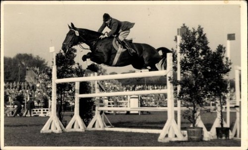 Foto springreiten sprung - foto, ak