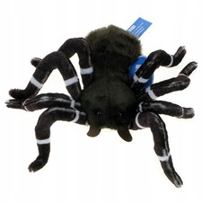Plüschtier Zoo Spinne 20cm